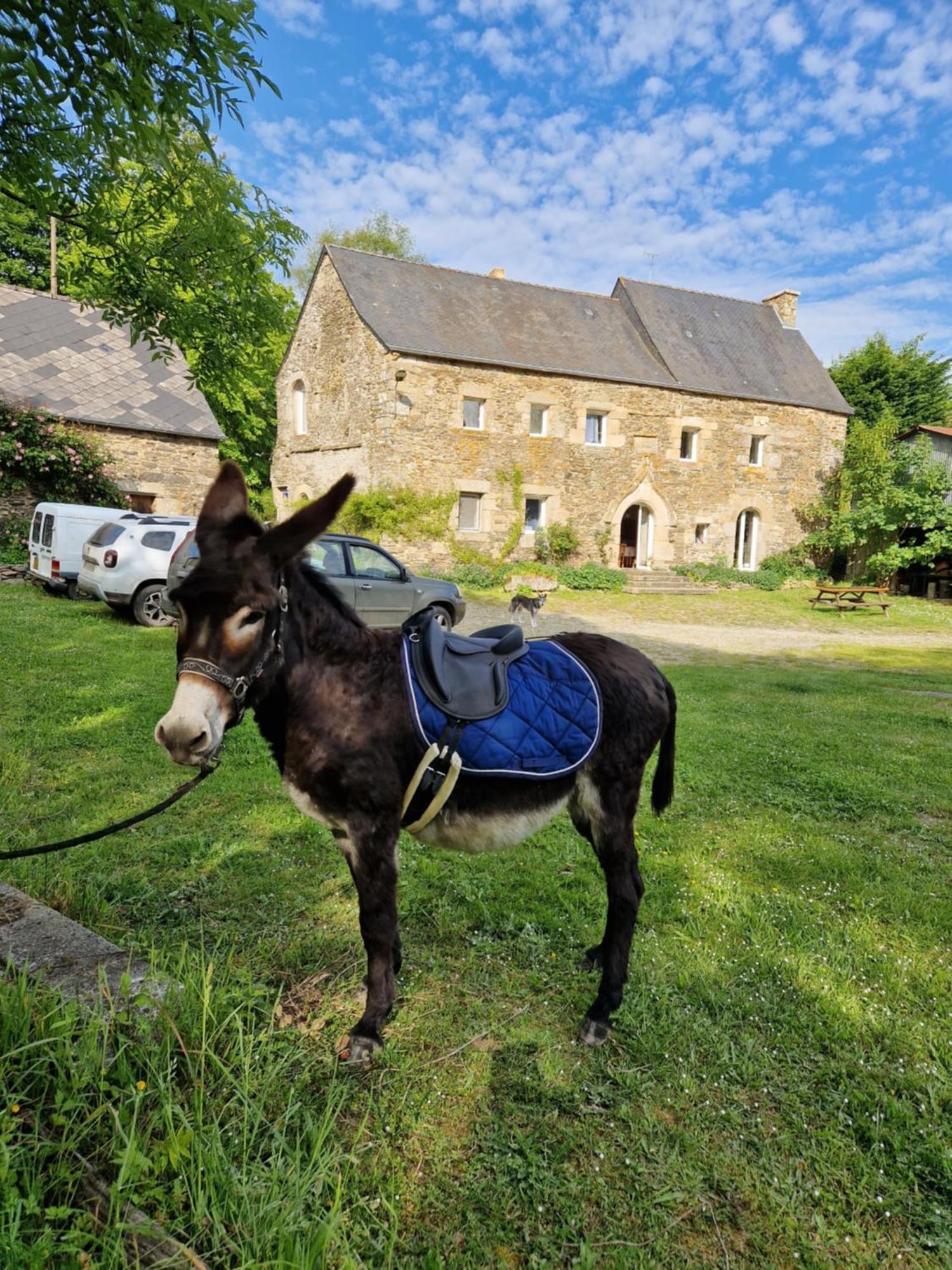 Manoir De Questinguy Bed and Breakfast Allineuc Exteriör bild